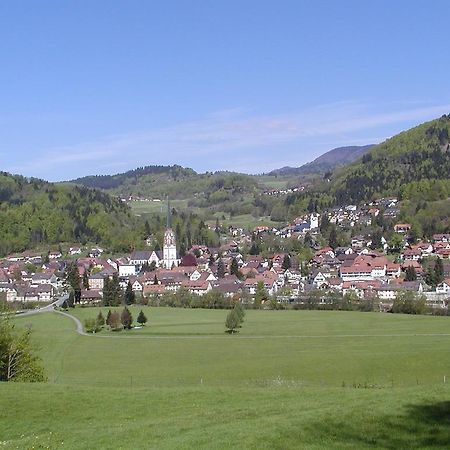 Parkhotel Sonne Schönau im Schwarzwald Zewnętrze zdjęcie