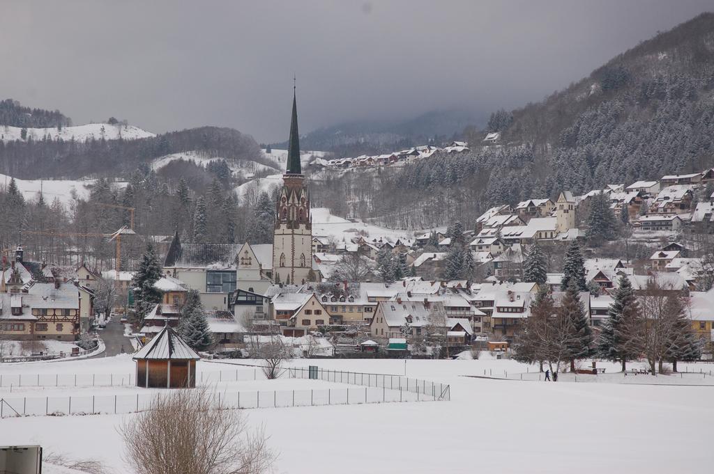 Parkhotel Sonne Schönau im Schwarzwald Zewnętrze zdjęcie