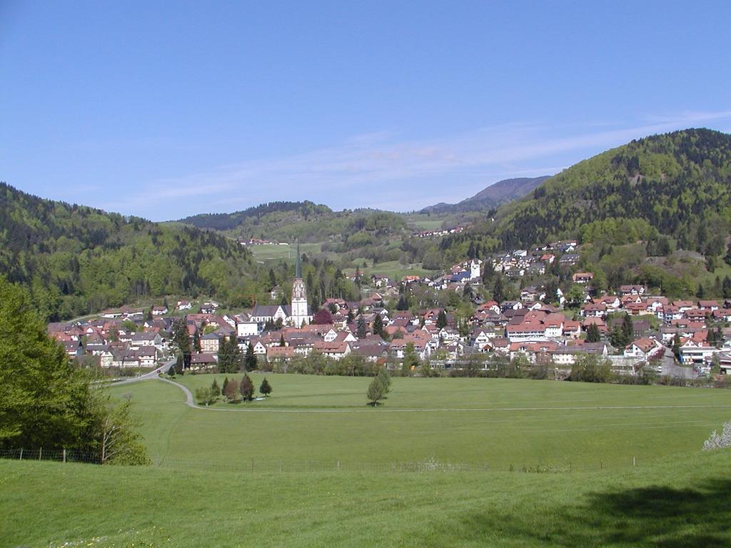 Parkhotel Sonne Schönau im Schwarzwald Zewnętrze zdjęcie